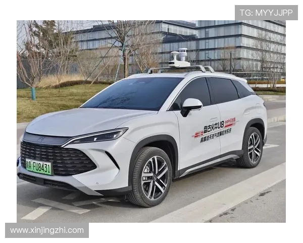 问鼎旗舰网站的未来发展趋势与核心竞争力分析