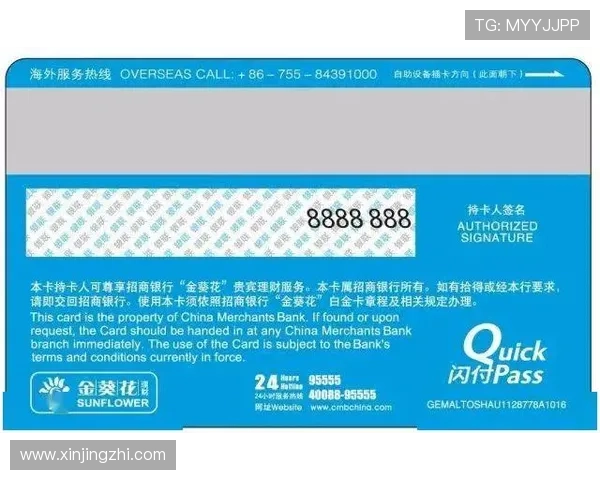 问鼎娱乐会员权益有哪些，详细介绍会员专属的福利与服务