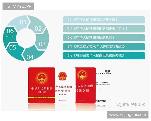 问鼎官网网页版登录入口安全登录技巧与注意事项保障玩家账号信息安全